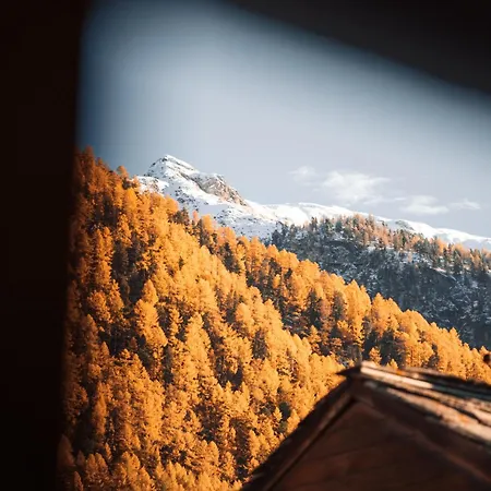 Apartamento Alpine Nest 1895 *