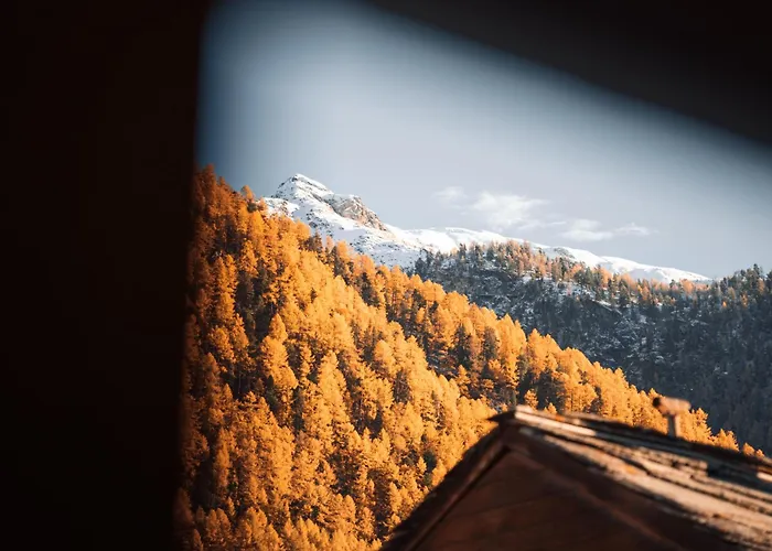 Апартаменты Alpine Nest 1895 *