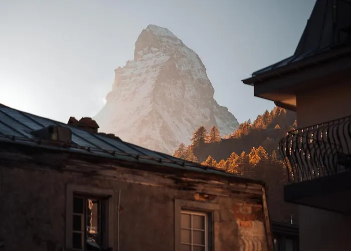 Appartement Alpine Nest 1895 *
